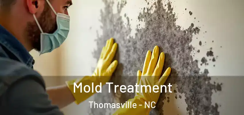  Mold Treatment Thomasville - NC