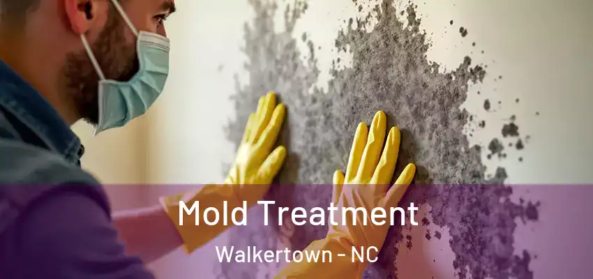  Mold Treatment Walkertown - NC