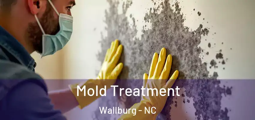  Mold Treatment Wallburg - NC