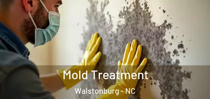 Mold Treatment Walstonburg - NC