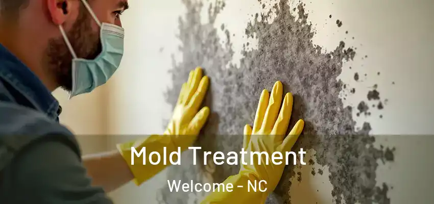 Mold Treatment Welcome - NC