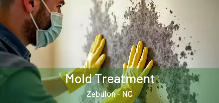 Mold Treatment Zebulon - NC