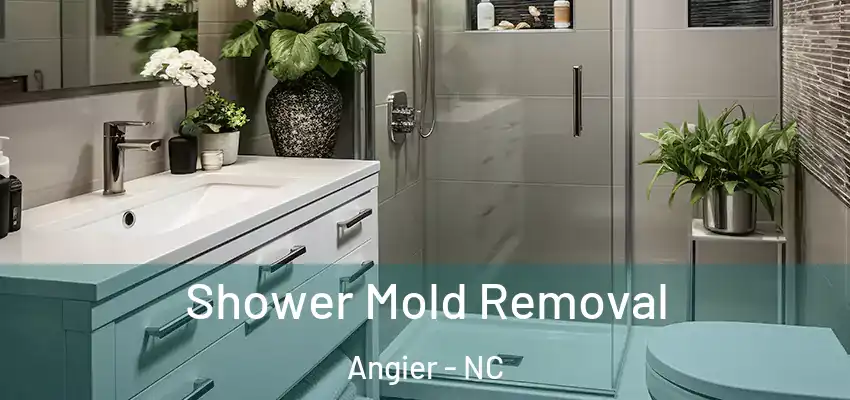 Shower Mold Removal Angier - NC