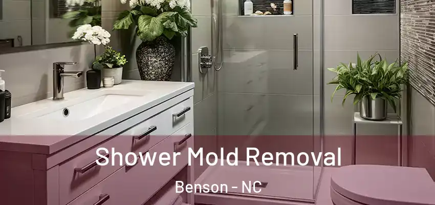  Shower Mold Removal Benson - NC