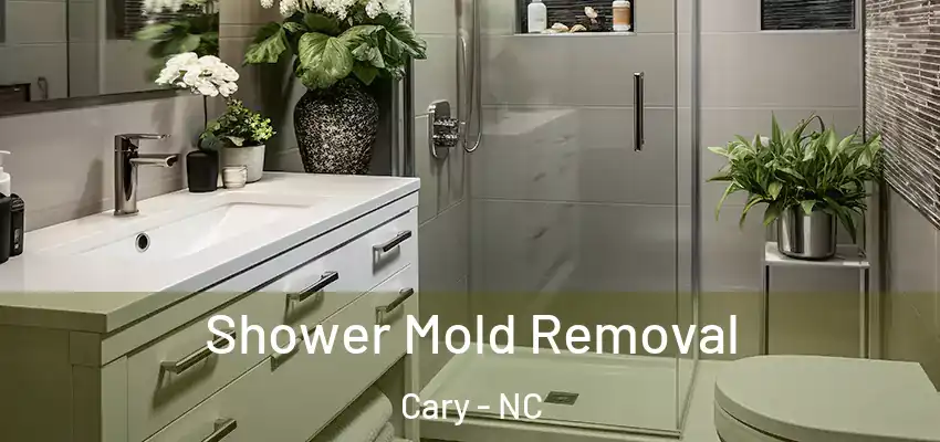  Shower Mold Removal Cary - NC