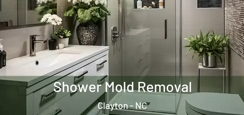  Shower Mold Removal Clayton - NC