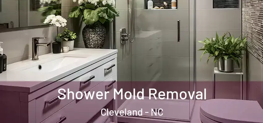 Shower Mold Removal Cleveland - NC