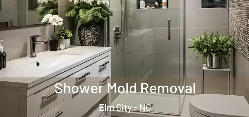 Shower Mold Removal Elm City - NC