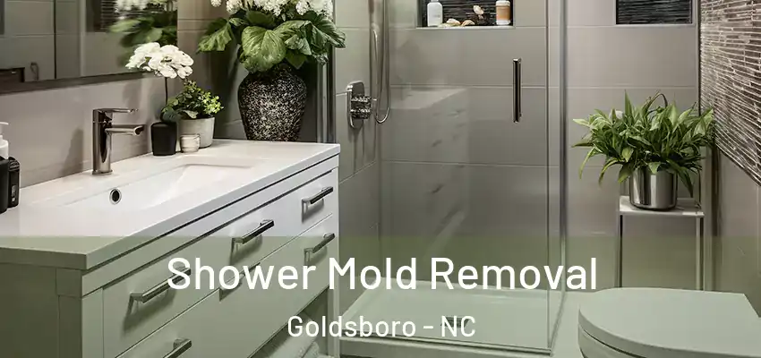 Shower Mold Removal Goldsboro - NC