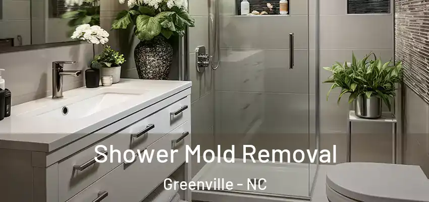  Shower Mold Removal Greenville - NC