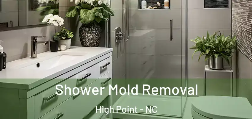 Shower Mold Removal High Point - NC