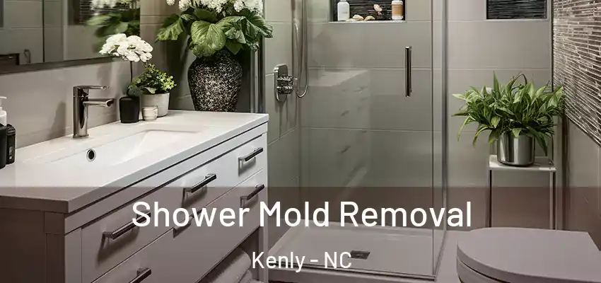  Shower Mold Removal Kenly - NC