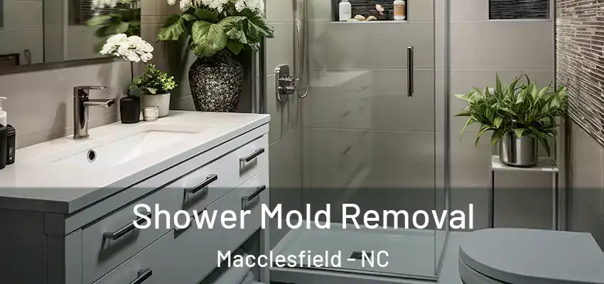  Shower Mold Removal Macclesfield - NC