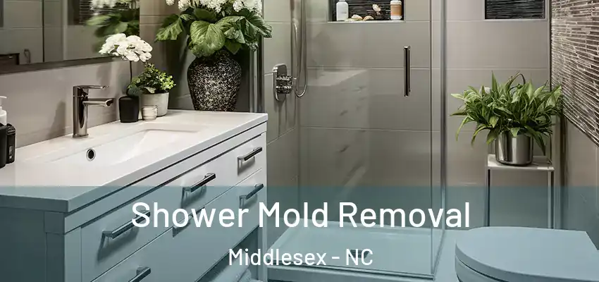  Shower Mold Removal Middlesex - NC