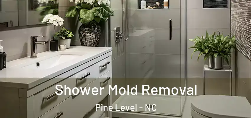  Shower Mold Removal Pine Level - NC