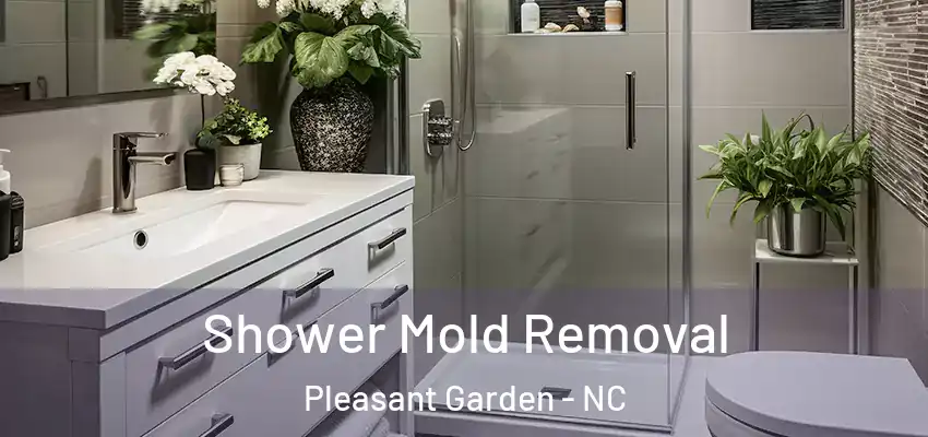 Shower Mold Removal Pleasant Garden - NC