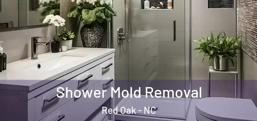 Shower Mold Removal Red Oak - NC