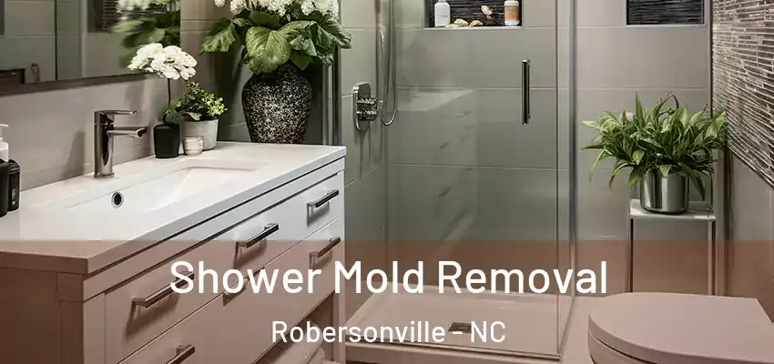 Shower Mold Removal Robersonville - NC