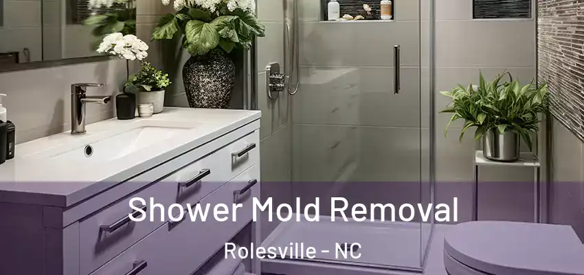  Shower Mold Removal Rolesville - NC