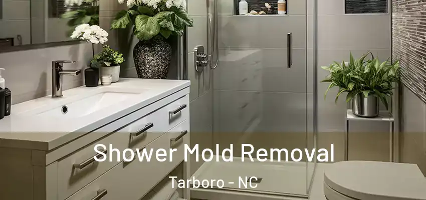 Shower Mold Removal Tarboro - NC