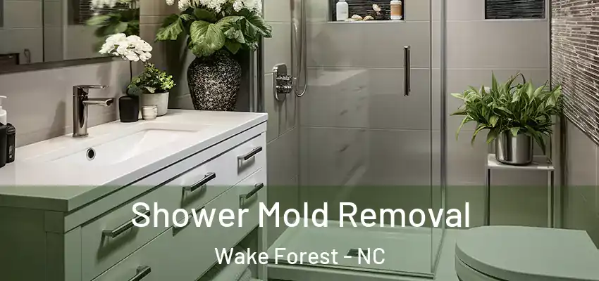 Shower Mold Removal Wake Forest - NC