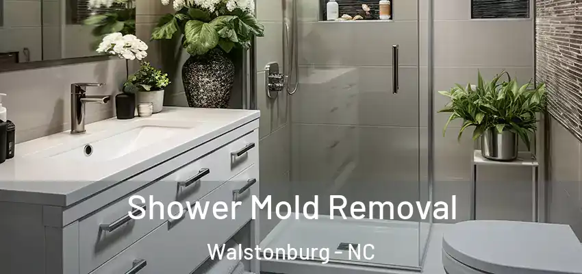  Shower Mold Removal Walstonburg - NC