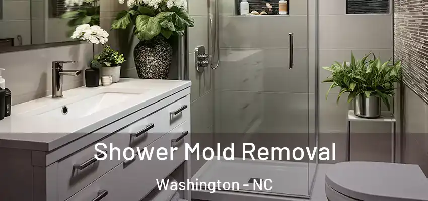 Shower Mold Removal Washington - NC