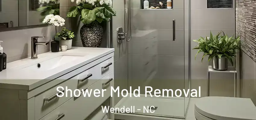 Shower Mold Removal Wendell - NC