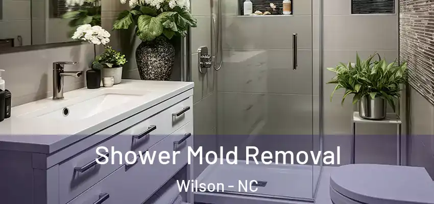 Shower Mold Removal Wilson - NC