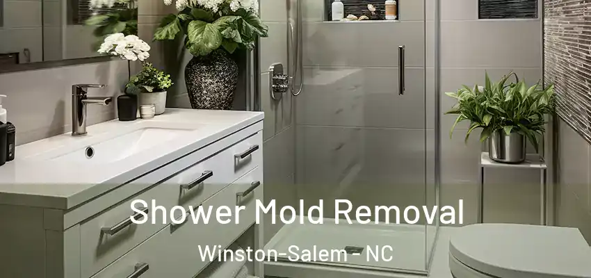  Shower Mold Removal Winston-Salem - NC